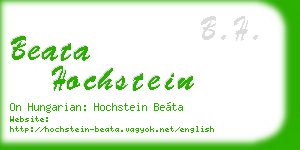 beata hochstein business card